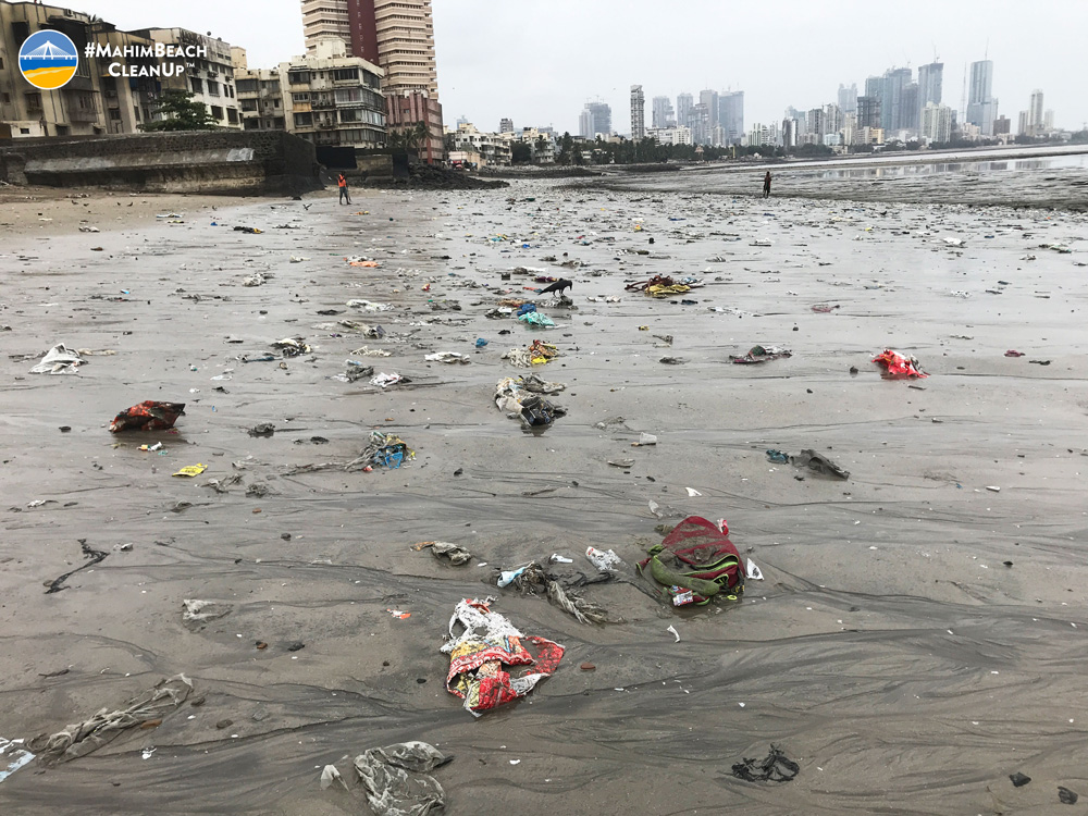 Mahim Beach CleanUp